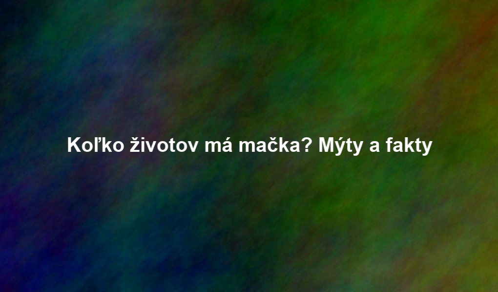 Koľko životov má mačka? Mýty a fakty