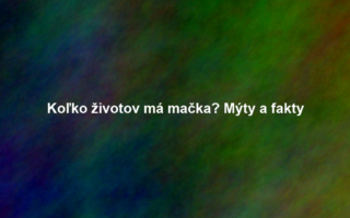Koľko životov má mačka? Mýty a fakty
