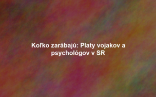 Koľko zarábajú: Platy vojakov a psychológov v SR
