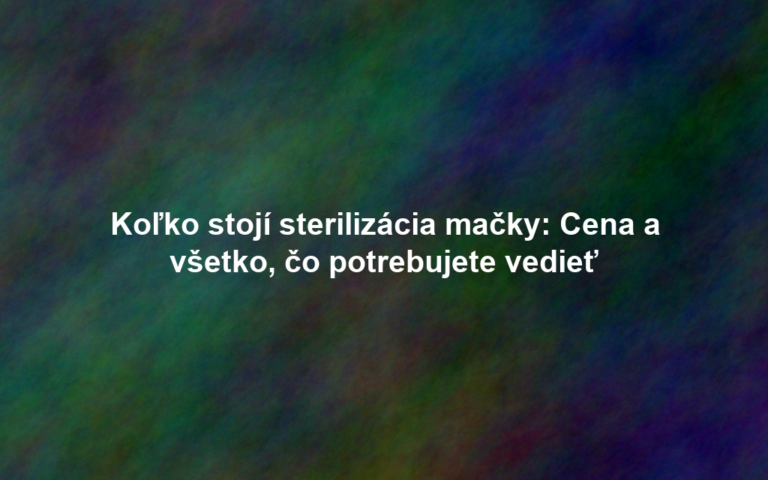 Koľko stojí sterilizácia mačky: Cena a všetko, čo potrebujete vedieť