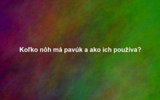 Koľko nôh má pavúk a ako ich používa?