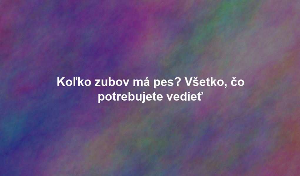 Koľko zubov má pes? Všetko, čo potrebujete vedieť