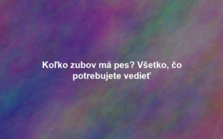 Koľko zubov má pes? Všetko, čo potrebujete vedieť