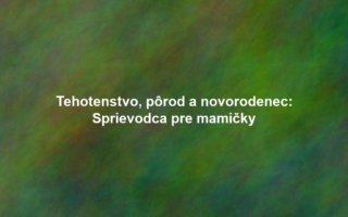 Tehotenstvo, pôrod a novorodenec: Sprievodca pre mamičky