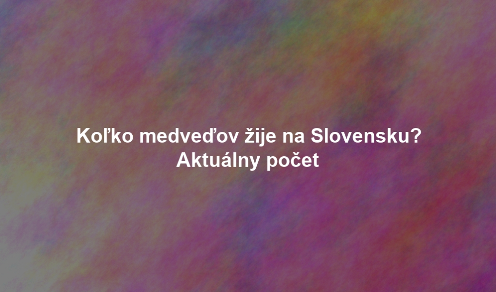 Koľko medveďov žije na Slovensku? Aktuálny počet