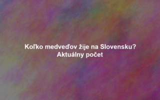 Koľko medveďov žije na Slovensku? Aktuálny počet