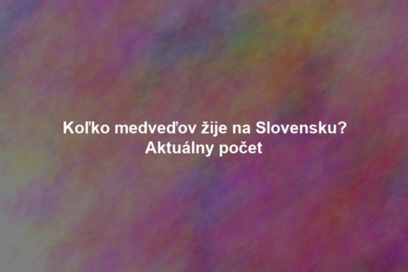 Koľko medveďov žije na Slovensku? Aktuálny počet