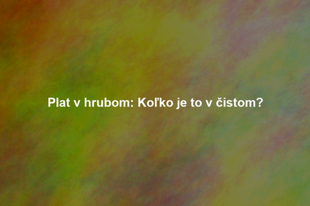 Plat v hrubom: Koľko je to v čistom?