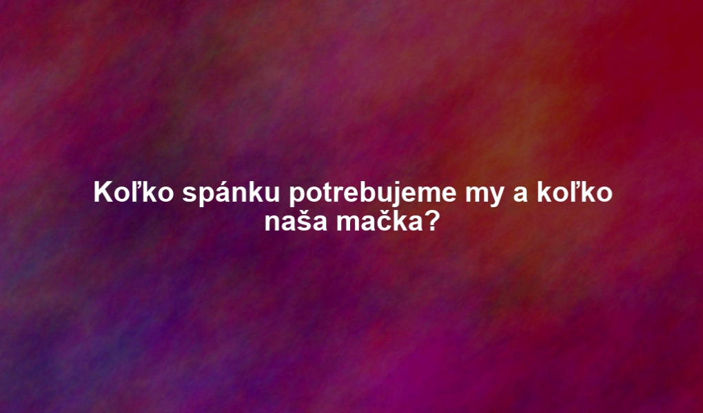 Koľko spánku potrebujeme my a koľko naša mačka?