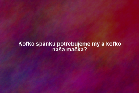 Koľko spánku potrebujeme my a koľko naša mačka?