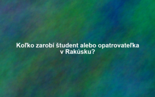Koľko zarobí študent alebo opatrovateľka v Rakúsku?