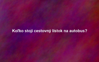 Koľko stojí cestovný lístok na autobus?