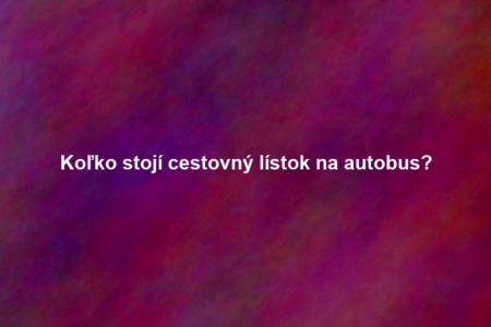 Koľko stojí cestovný lístok na autobus?
