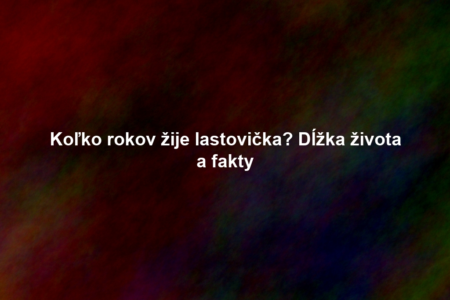 Koľko rokov žije lastovička? Dĺžka života a fakty