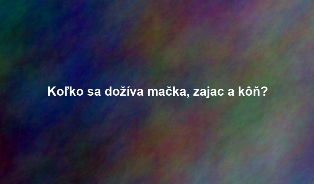 Koľko sa dožíva mačka, zajac a kôň?