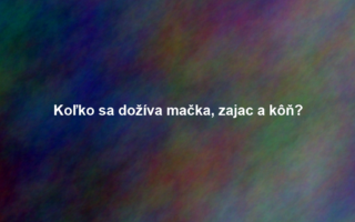 Koľko sa dožíva mačka, zajac a kôň?