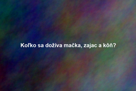 Koľko sa dožíva mačka, zajac a kôň?