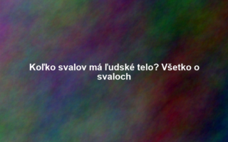 Koľko svalov má ľudské telo? Všetko o svaloch