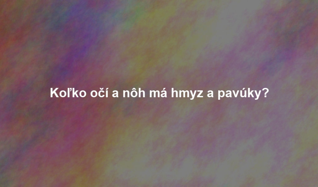 Koľko očí a nôh má hmyz a pavúky?