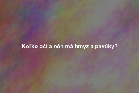 Koľko očí a nôh má hmyz a pavúky?