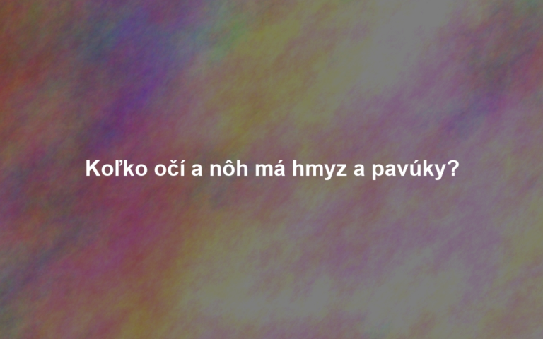 Koľko očí a nôh má hmyz a pavúky?