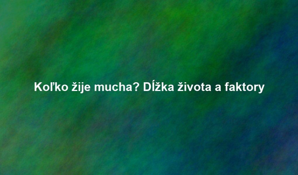 Koľko žije mucha? Dĺžka života a faktory