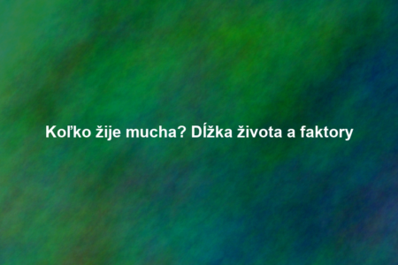 Koľko žije mucha? Dĺžka života a faktory