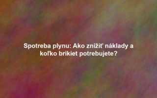 Spotreba plynu: Ako znížiť náklady a koľko brikiet potrebujete?