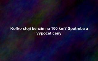 Koľko stojí benzín na 100 km? Spotreba a výpočet ceny