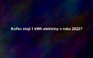 Koľko stojí 1 kWh elektriny v roku 2022?