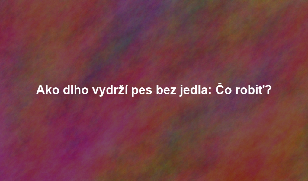 Ako dlho vydrží pes bez jedla: Čo robiť?