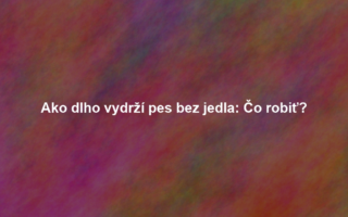 Ako dlho vydrží pes bez jedla: Čo robiť?