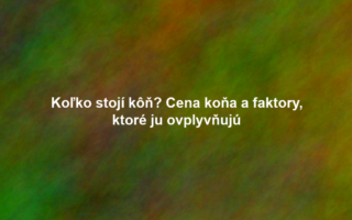 Koľko stojí kôň? Cena koňa a faktory, ktoré ju ovplyvňujú