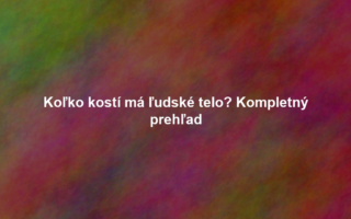 Koľko kostí má ľudské telo? Kompletný prehľad