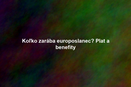 Koľko zarába europoslanec? Plat a benefity