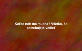 Koľko nôh má mucha? Všetko, čo potrebujete vedieť