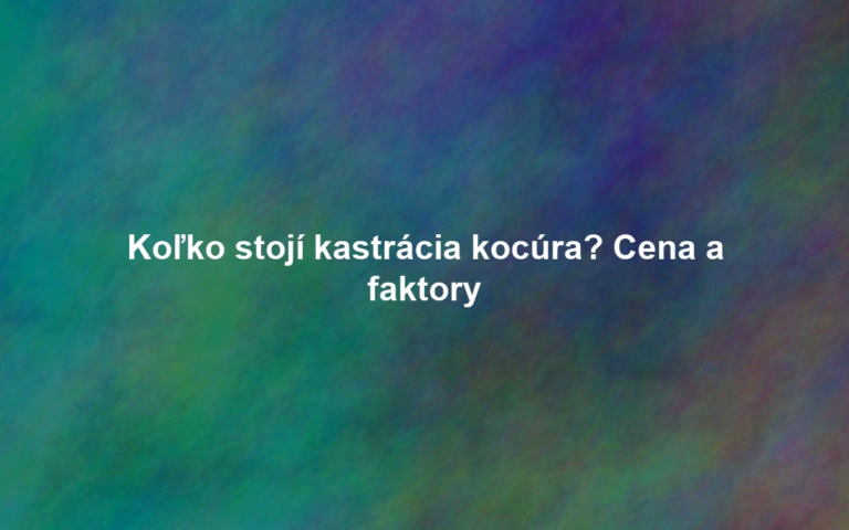 Koľko stojí kastrácia kocúra? Cena a faktory