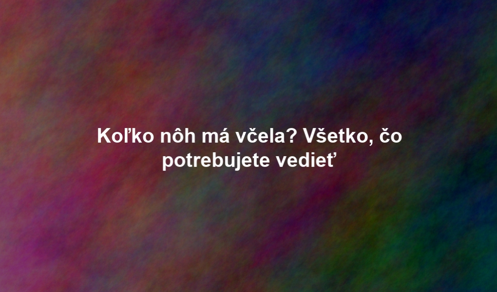Koľko nôh má včela? Všetko, čo potrebujete vedieť