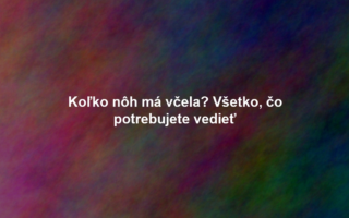 Koľko nôh má včela? Všetko, čo potrebujete vedieť