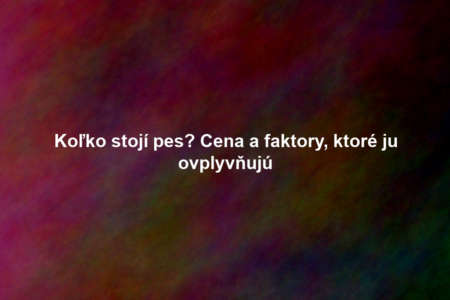 Koľko stojí pes? Cena a faktory, ktoré ju ovplyvňujú