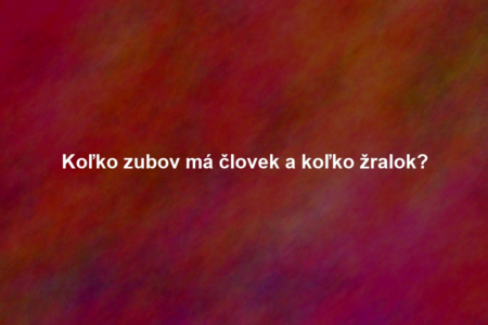 Koľko zubov má človek a koľko žralok?