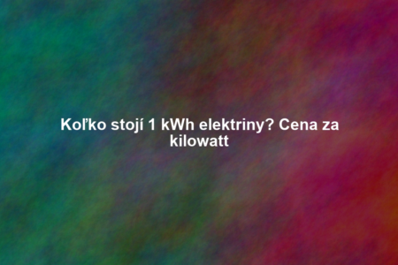 Koľko stojí 1 kWh elektriny? Cena za kilowatt