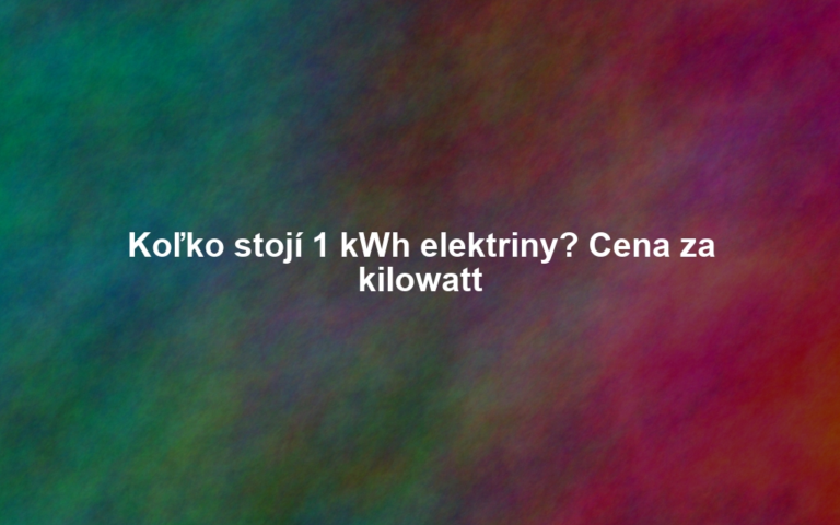 Koľko stojí 1 kWh elektriny? Cena za kilowatt