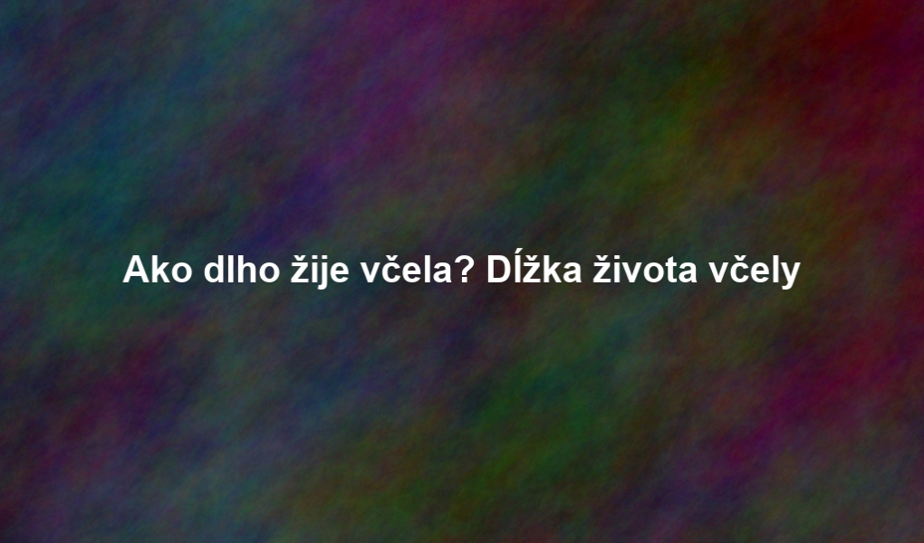 Ako dlho žije včela? Dĺžka života včely