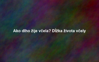 Ako dlho žije včela? Dĺžka života včely