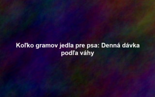 Koľko gramov jedla pre psa: Denná dávka podľa váhy