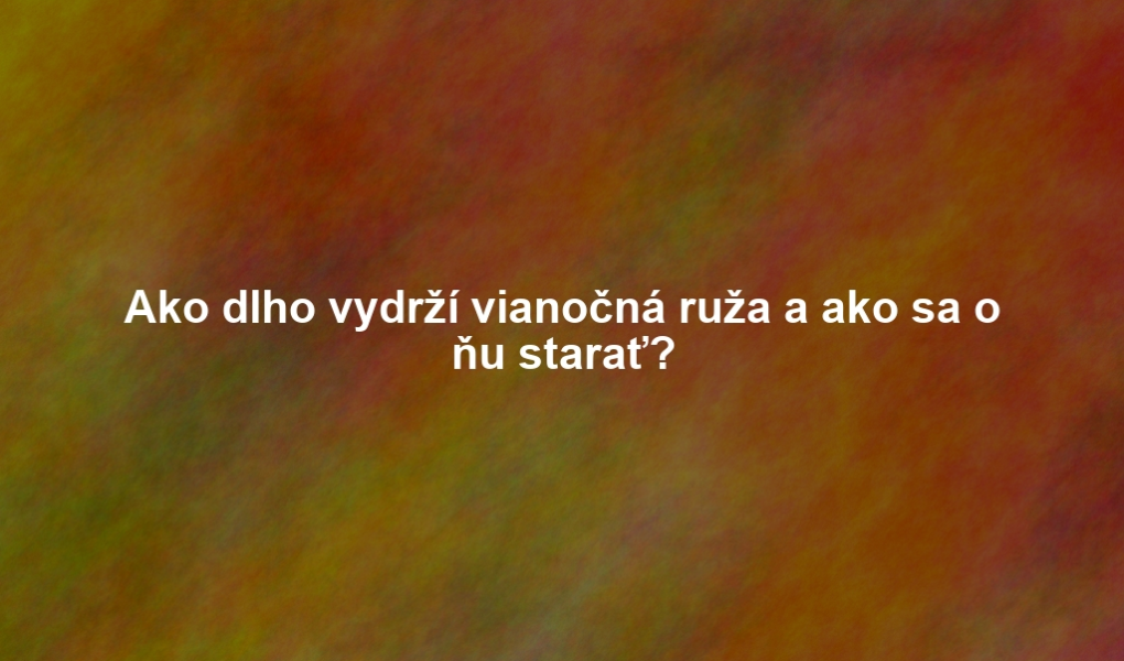 Ako dlho vydrží vianočná ruža a ako sa o ňu starať?