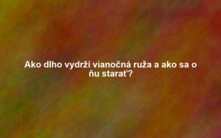 Ako dlho vydrží vianočná ruža a ako sa o ňu starať?