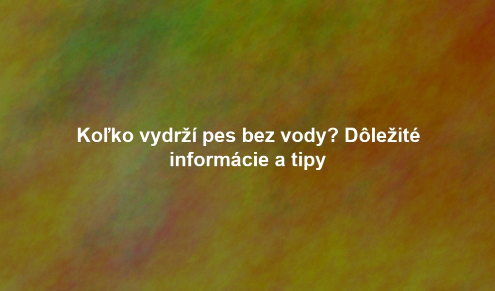 Koľko vydrží pes bez vody? Dôležité informácie a tipy