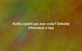 Koľko vydrží pes bez vody? Dôležité informácie a tipy